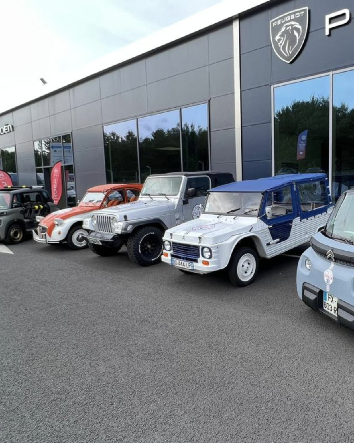 Flotte Estela Cruise avec la Citroen Mehari, la 2CV, la Jeep Wrangler et la Citroen AMI Buggy