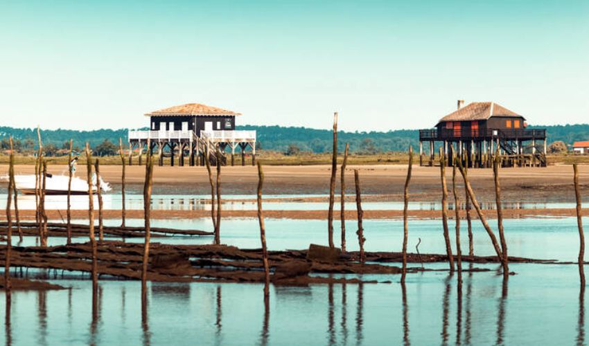Location plaisir sur le Bassin d’Arcachon : et si vous rouliez autrement ?